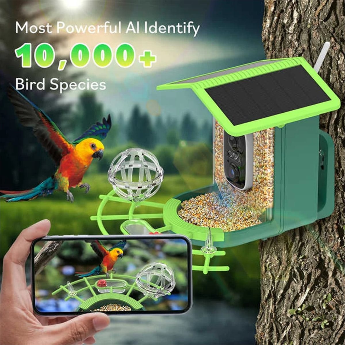 Caméra de mangeoire à oiseaux  - Power Tools Ai avis et prix
